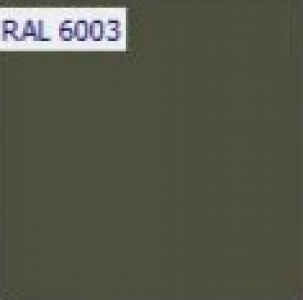 RAL 6003 RAL 6003