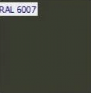 RAL 6007 RAL 6007