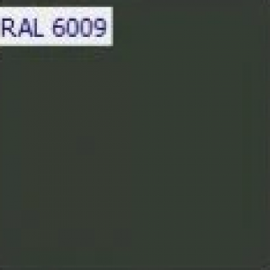 RAL 6009 RAL 6009