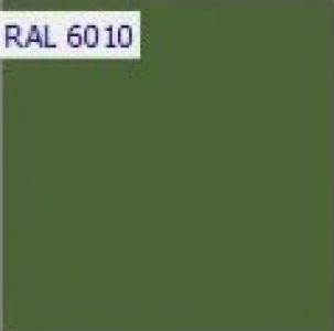 RAL 6010 RAL 6010