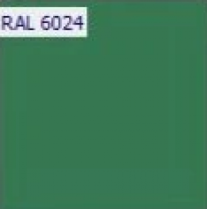 RAL 6024 RAL 6024